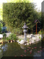 Bassin a ko et jardin Japonais Richert 3 - Le jardin Japonais  20 
