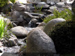 Bassin a ko et jardin Japonais Richert 3 - Le jardin Japonais  21 