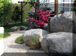 Bassin a ko et jardin Japonais Richert 3 - Le jardin Japonais  25 