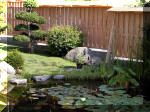 Bassin a ko et jardin Japonais Richert 4 - Le jardin Japonais  15 