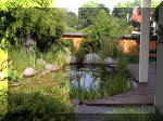 Bassin a ko et jardin Japonais Richert 4 - Le jardin Japonais  24 