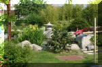Bassin a ko et jardin Japonais Richert 5 - Le jardin Japonais  5 