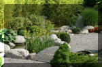 Bassin a ko et jardin Japonais Richert 5 - Le jardin Japonais  7 
