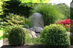Bassin a ko et jardin Japonais Richert 5 - Le jardin Japonais  16 