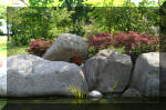 Bassin a ko et jardin Japonais Richert 5 - Le jardin Japonais  29 