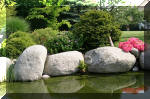 Bassin a ko et jardin Japonais Richert 5 - Le jardin Japonais  33 