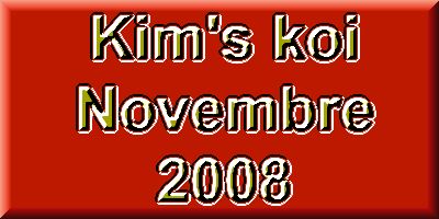 La rentre des koi de novembre chez Kim's Koi- Vue d'ensemble 1  1 