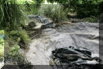 Rhabiltation d'un bassin du Branois - Le nettoyage du bassin    6 