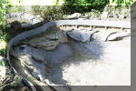 Rhabiltation d'un bassin du Branois - Pose des Ecolat & Ecopic    15 