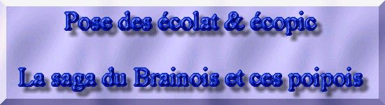 Rhabiltation d'un bassin du Branois - Pose des Ecolat & Ecopic    1 