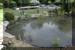 Rhabiltation d'un bassin du Branois - plantation des plantes aquatiques   8 