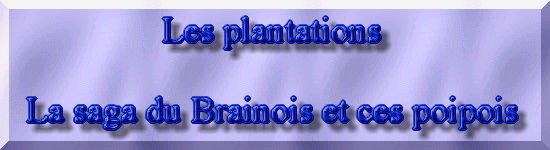 Rhabiltation d'un bassin du Branois - plantation des plantes aquatiques   1 