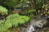Japan garden in Izumo page 4  26 