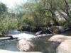 La nature - The nature