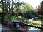 Le jardin aquatique de rve du Condroz - Printemps 2003  2 