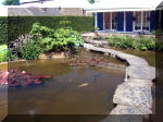 Le jardin aquatique de rve du Condroz - Printemps 2003  7 