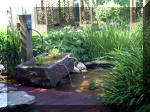 Le jardin aquatique de rve du Condroz - Printemps 2003  20 