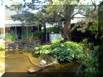 Le jardin aquatique de rve du Condroz - Printemps 2003  19 