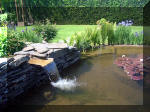 Le jardin aquatique de rve du Condroz - Printemps 2003  22 