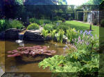 Le jardin aquatique de rve du Condroz - Printemps 2003  31 