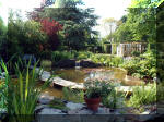 Le jardin aquatique de rve du Condroz - Printemps 2003 2  37 