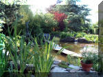 Le jardin aquatique de rve du Condroz - Printemps 2003 2  35 