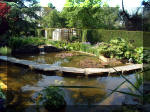 Le jardin aquatique de rve du Condroz - Printemps 2003 2  29 