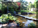 Le jardin aquatique de rve du Condroz - Printemps 2003 2  34 