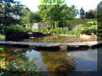 Le jardin aquatique de rve du Condroz - Printemps 2003 2  32 