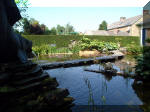 Le jardin aquatique de rve du Condroz - Printemps 2003 2  28 