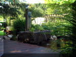 Le jardin aquatique de rve du Condroz - Printemps 2003 2  25 
