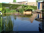 Le jardin aquatique de rve du Condroz - Printemps 2003 2  24 