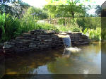 Le jardin aquatique de rve du Condroz - Printemps 2003 2  21 