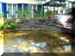 Le jardin aquatique de rve du Condroz - Printemps 2003 2  19 