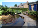 Le jardin aquatique de rve du Condroz - Printemps 2003 2  17 