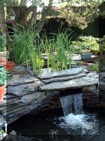 Le jardin aquatique de rve du Condroz - Printemps 2003 2  6 