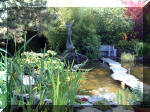 Le jardin aquatique de rve du Condroz - Printemps 2003 2  4 