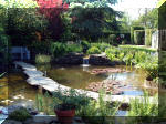 Le jardin aquatique de rve du Condroz - Printemps 2003 2  3 