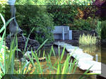 Le jardin aquatique de rve du Condroz - Printemps 2003 2  20 