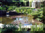 Le jardin aquatique de rve du Condroz - Printemps 2003 2  40 