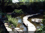 Le jardin aquatique de rve du Condroz - Printemps 2003 2  44 