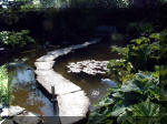 Le jardin aquatique de rve du Condroz - Printemps 2003 2  33 