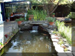Le jardin aquatique de rve du Condroz - Printemps 2003 3  2 
