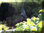 Le jardin aquatique de rve du Condroz - Printemps 2003 3  5 