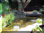 Le jardin aquatique de rve du Condroz - Printemps 2003 3  11 
