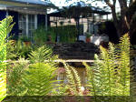 Le jardin aquatique de rve du Condroz - Printemps 2003 3  24 