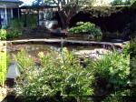 Le jardin aquatique de rve du Condroz - Printemps 2003 3  31 