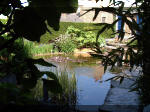 Le jardin aquatique de rve du Condroz - Printemps 2003 3  38 