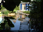 Le jardin aquatique de rve du Condroz - Printemps 2003 3  42 