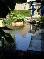 Le jardin aquatique de rve du Condroz - Printemps 2003 3  39 